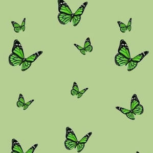 Meet your Posher, Blossom